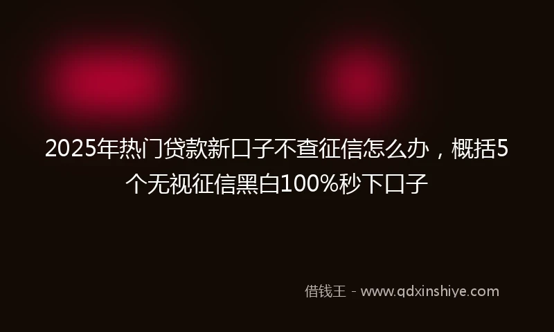 2025年热门贷款新口子不查征信怎么办，概括5个无视征信黑白100%秒下口子