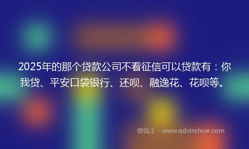 2025年的那个贷款公司不看征信可以贷款有：你我贷、平安口袋银行、还呗、融逸花、花呗等。