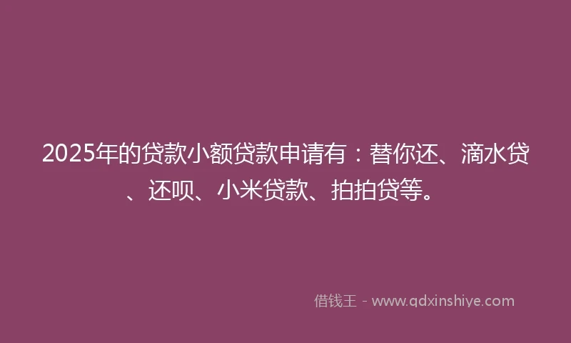 2025年的贷款小额贷款申请有：替你还、滴水贷、还呗、小米贷款、拍拍贷等。