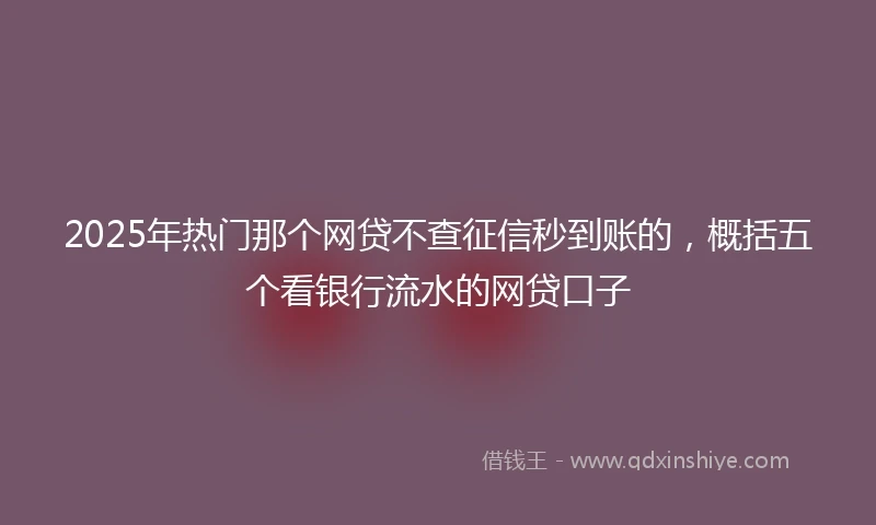 2025年热门那个网贷不查征信秒到账的，概括五个看银行流水的网贷口子