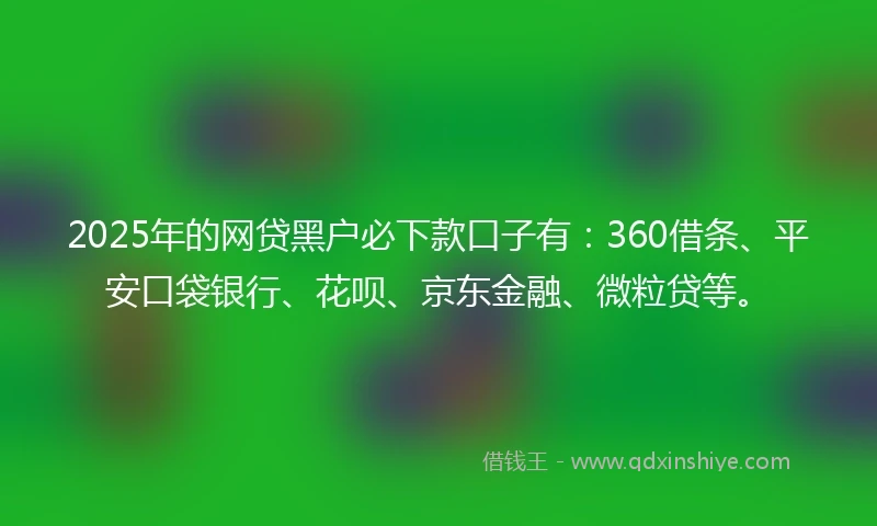 2025年的网贷黑户必下款口子有：360借条、平安口袋银行、花呗、京东金融、微粒贷等。