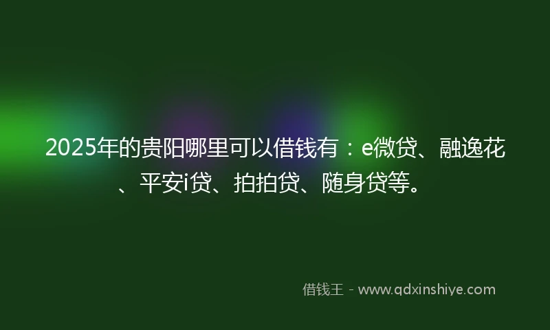 2025年的贵阳哪里可以借钱有：e微贷、融逸花、平安i贷、拍拍贷、随身贷等。