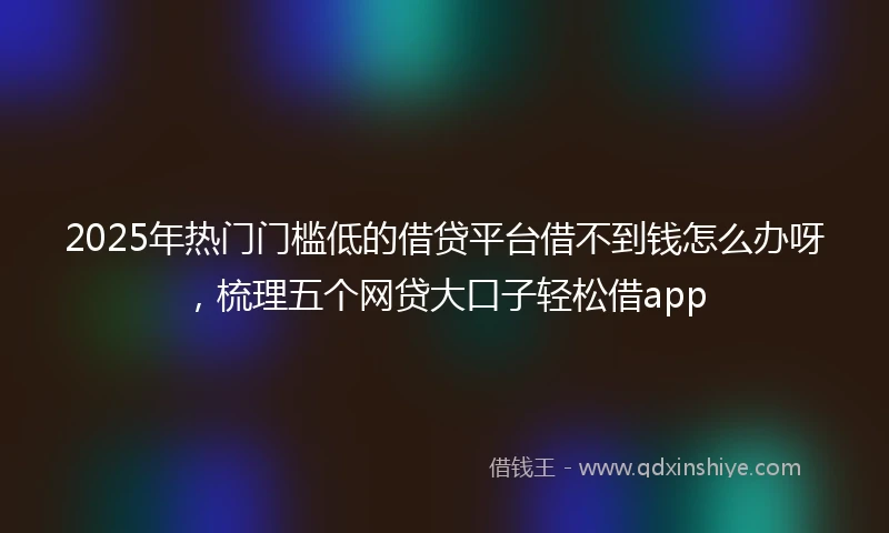 2025年热门门槛低的借贷平台借不到钱怎么办呀，梳理五个网贷大口子轻松借app