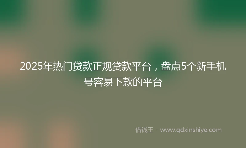2025年热门贷款正规贷款平台，盘点5个新手机号容易下款的平台