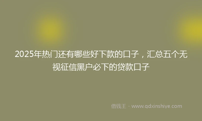 2025年热门还有哪些好下款的口子，汇总五个无视征信黑户必下的贷款口子