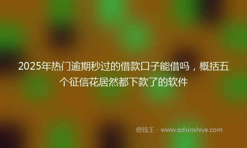 2025年热门逾期秒过的借款口子能借吗，概括五个征信花居然都下款了的软件