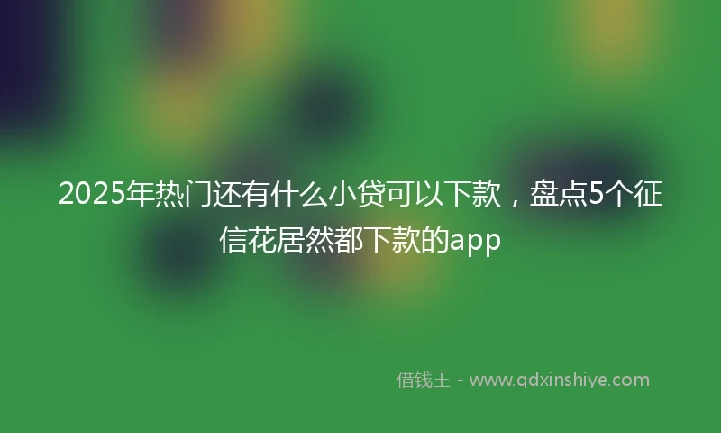 2025年热门还有什么小贷可以下款，盘点5个征信花居然都下款的app