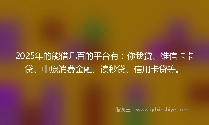 2025年的能借几百的平台有：你我贷、维信卡卡贷、中原消费金融、读秒贷、信用卡贷等。
