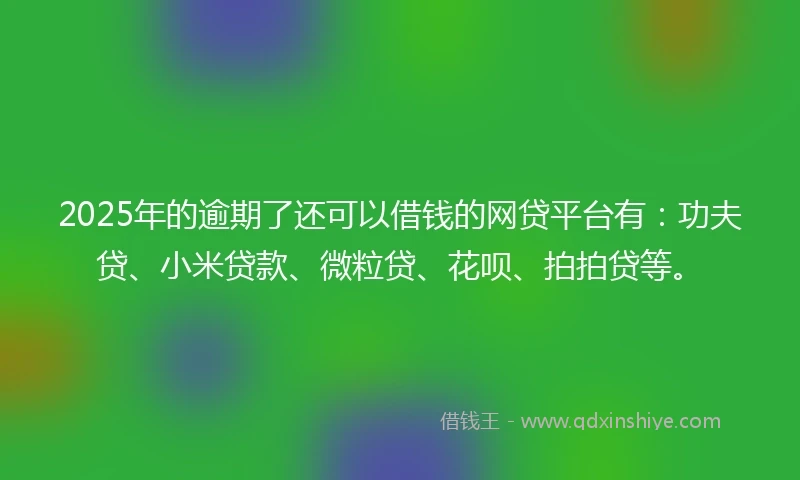 2025年的逾期了还可以借钱的网贷平台有：功夫贷、小米贷款、微粒贷、花呗、拍拍贷等。