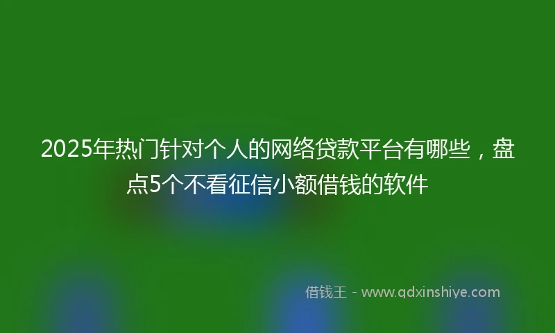 2025年热门针对个人的网络贷款平台有哪些，盘点5个不看征信小额借钱的软件
