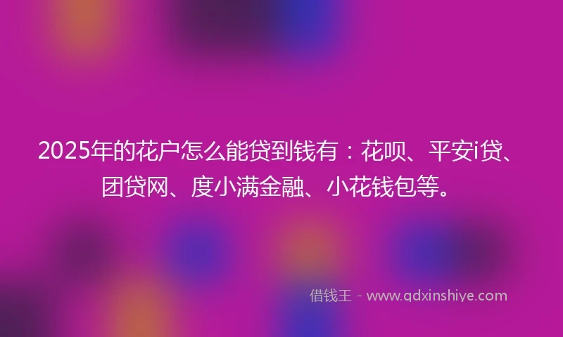 2025年的花户怎么能贷到钱有：花呗、平安i贷、团贷网、度小满金融、小花钱包等。