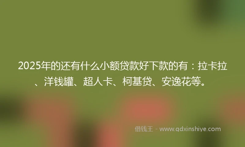 2025年的还有什么小额贷款好下款的有：拉卡拉、洋钱罐、超人卡、柯基贷、安逸花等。