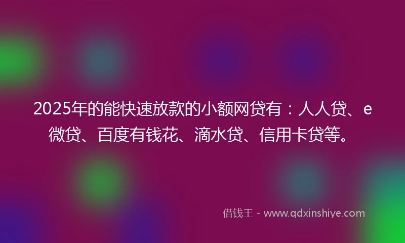 2025年的能快速放款的小额网贷有：人人贷、e微贷、百度有钱花、滴水贷、信用卡贷等。