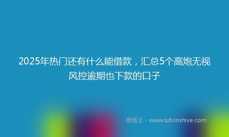 2025年热门还有什么能借款，汇总5个高炮无视风控逾期也下款的口子
