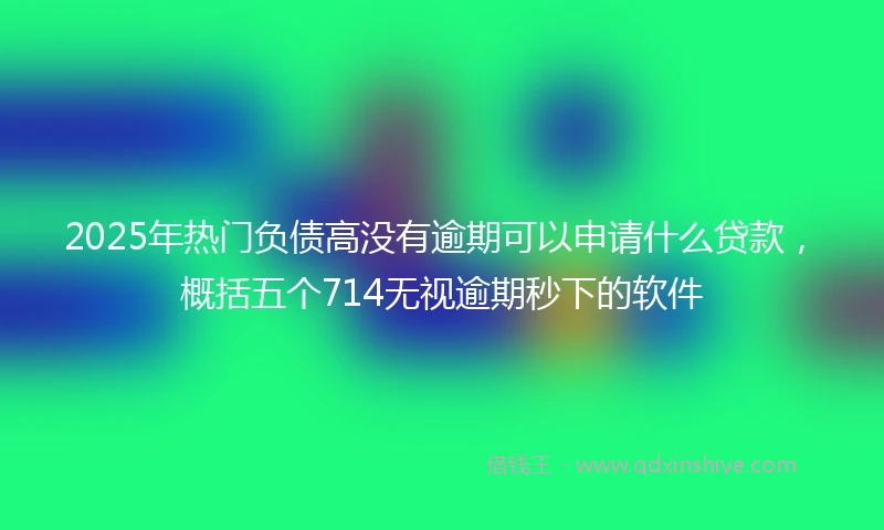 2025年热门负债高没有逾期可以申请什么贷款，概括五个714无视逾期秒下的软件