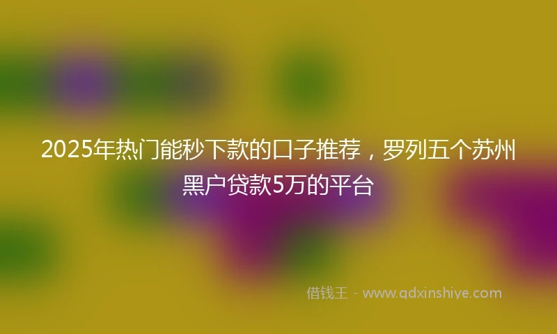 2025年热门能秒下款的口子推荐，罗列五个苏州黑户贷款5万的平台