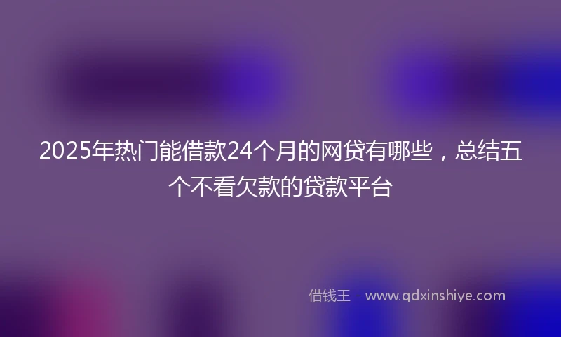2025年热门能借款24个月的网贷有哪些，总结五个不看欠款的贷款平台