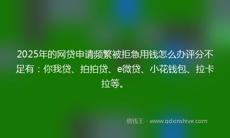 2025年的网贷申请频繁被拒急用钱怎么办评分不足有：你我贷、拍拍贷、e微贷、小花钱包、拉卡拉等。