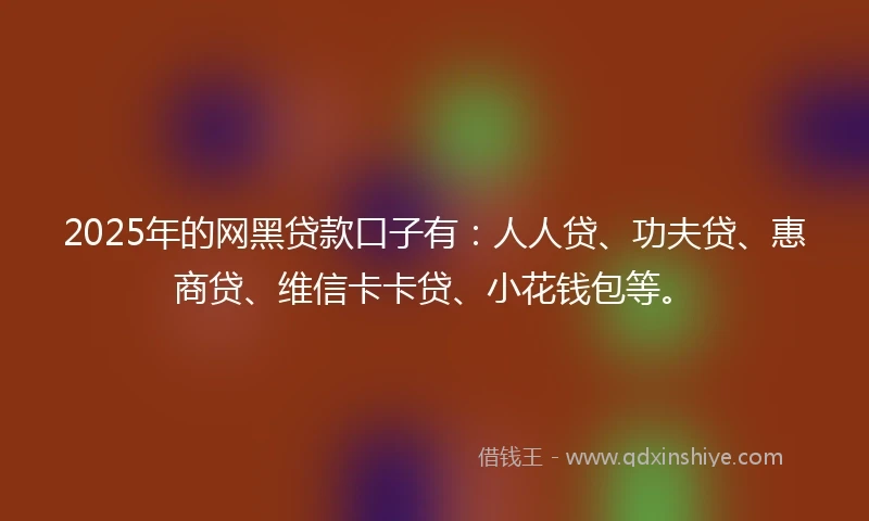 2025年的网黑贷款口子有：人人贷、功夫贷、惠商贷、维信卡卡贷、小花钱包等。