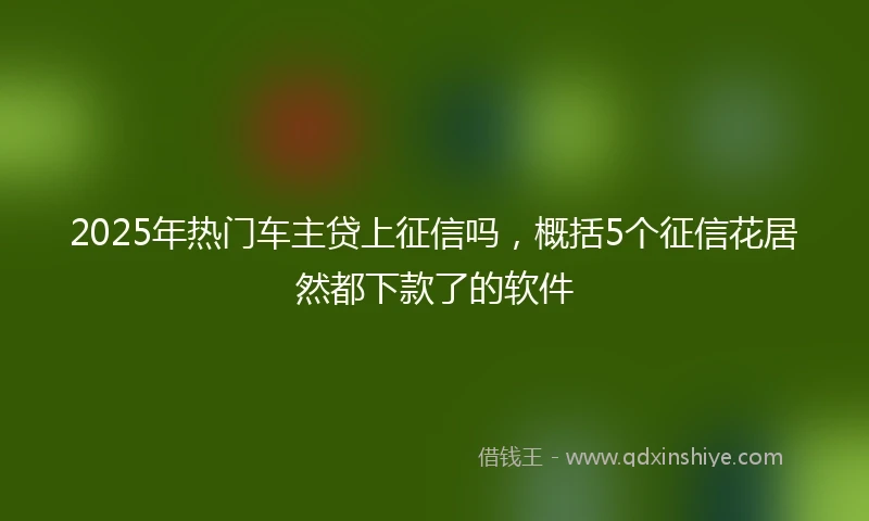 2025年热门车主贷上征信吗，概括5个征信花居然都下款了的软件