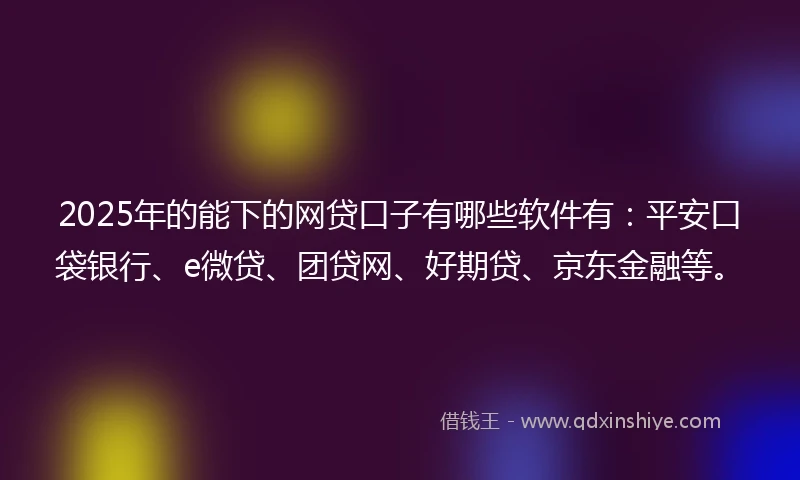 2025年的能下的网贷口子有哪些软件有：平安口袋银行、e微贷、团贷网、好期贷、京东金融等。
