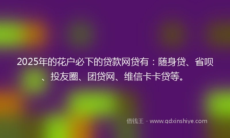 2025年的花户必下的贷款网贷有：随身贷、省呗、投友圈、团贷网、维信卡卡贷等。