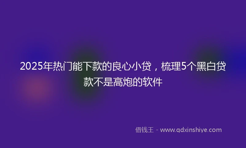 2025年热门能下款的良心小贷，梳理5个黑白贷款不是高炮的软件