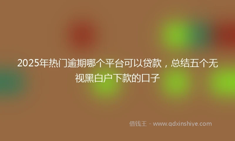 2025年热门逾期哪个平台可以贷款，总结五个无视黑白户下款的口子