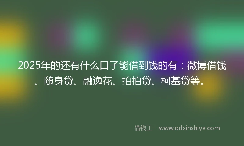 2025年的还有什么口子能借到钱的有：微博借钱、随身贷、融逸花、拍拍贷、柯基贷等。