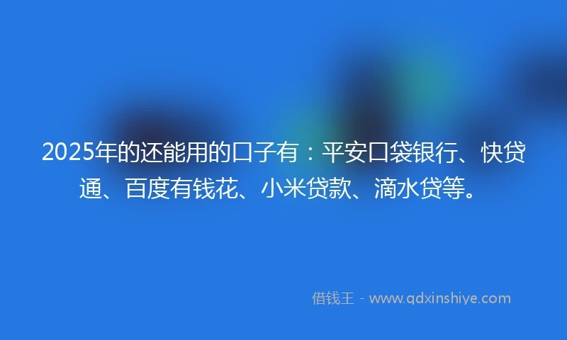 2025年的还能用的口子有：平安口袋银行、快贷通、百度有钱花、小米贷款、滴水贷等。