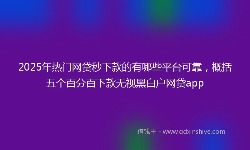 2025年热门网贷秒下款的有哪些平台可靠，概括五个百分百下款无视黑白户网贷app