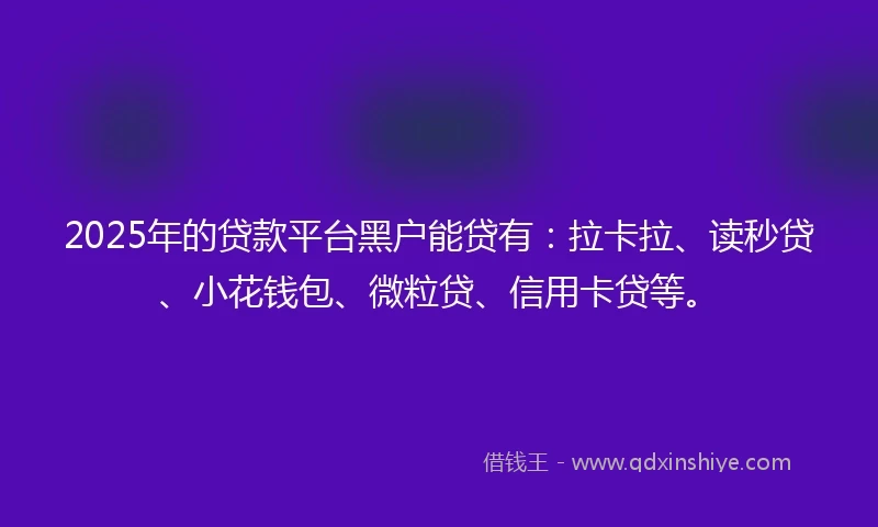 2025年的贷款平台黑户能贷有：拉卡拉、读秒贷、小花钱包、微粒贷、信用卡贷等。