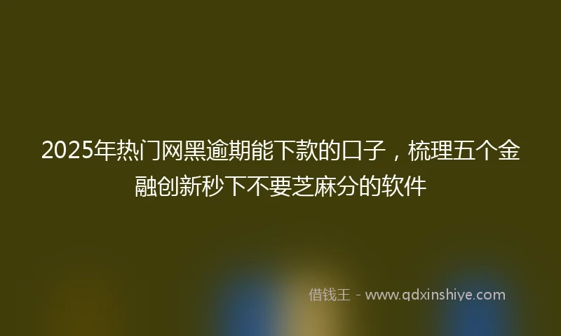 2025年热门网黑逾期能下款的口子，梳理五个金融创新秒下不要芝麻分的软件