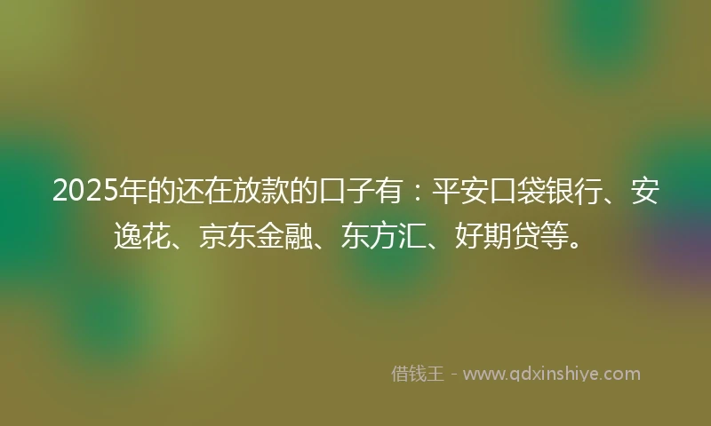 2025年的还在放款的口子有：平安口袋银行、安逸花、京东金融、东方汇、好期贷等。