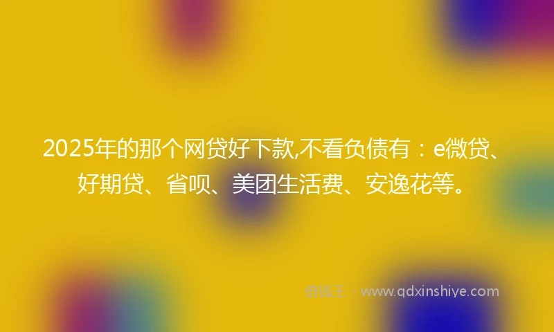 2025年的那个网贷好下款,不看负债有：e微贷、好期贷、省呗、美团生活费、安逸花等。