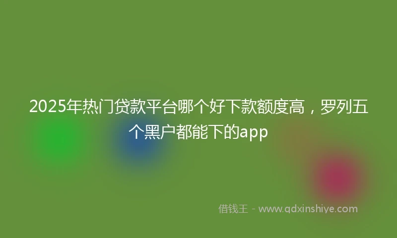 2025年热门贷款平台哪个好下款额度高，罗列五个黑户都能下的app