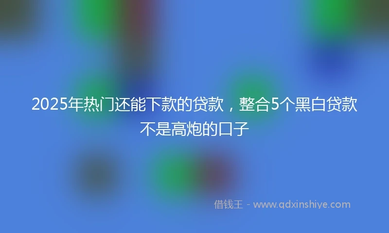 2025年热门还能下款的贷款，整合5个黑白贷款不是高炮的口子
