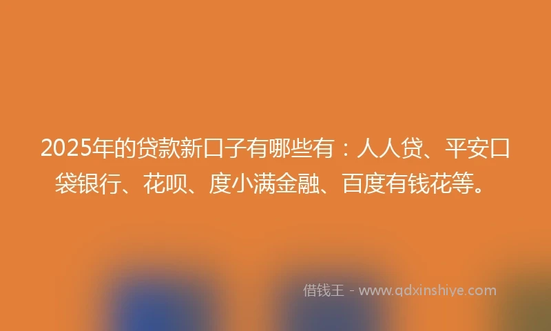 2025年的贷款新口子有哪些有：人人贷、平安口袋银行、花呗、度小满金融、百度有钱花等。