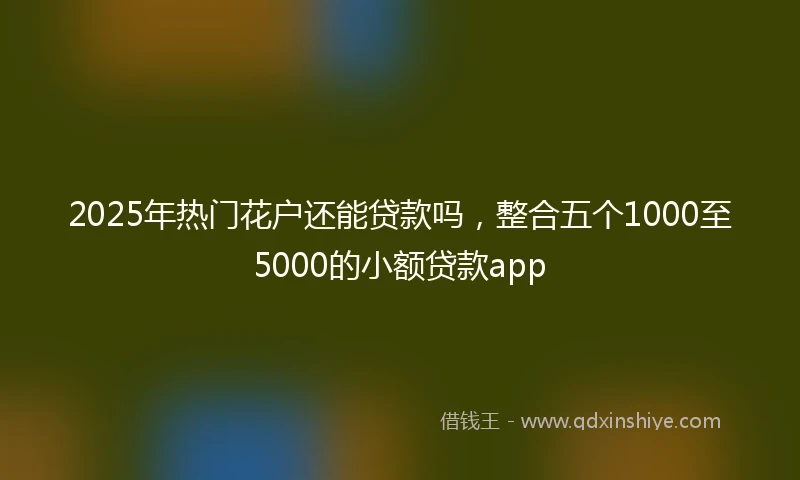 2025年热门花户还能贷款吗，整合五个1000至5000的小额贷款app