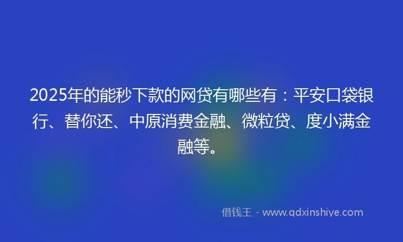 2025年的能秒下款的网贷有哪些有：平安口袋银行、替你还、中原消费金融、微粒贷、度小满金融等。