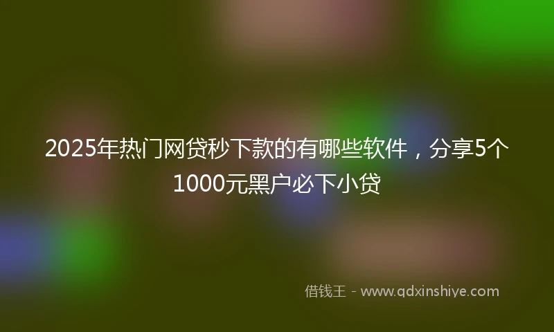 2025年热门网贷秒下款的有哪些软件，分享5个1000元黑户必下小贷