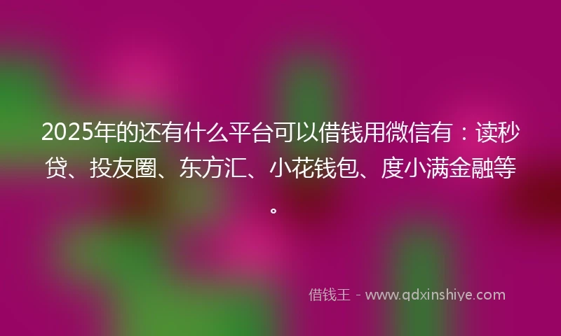 2025年的还有什么平台可以借钱用微信有：读秒贷、投友圈、东方汇、小花钱包、度小满金融等。