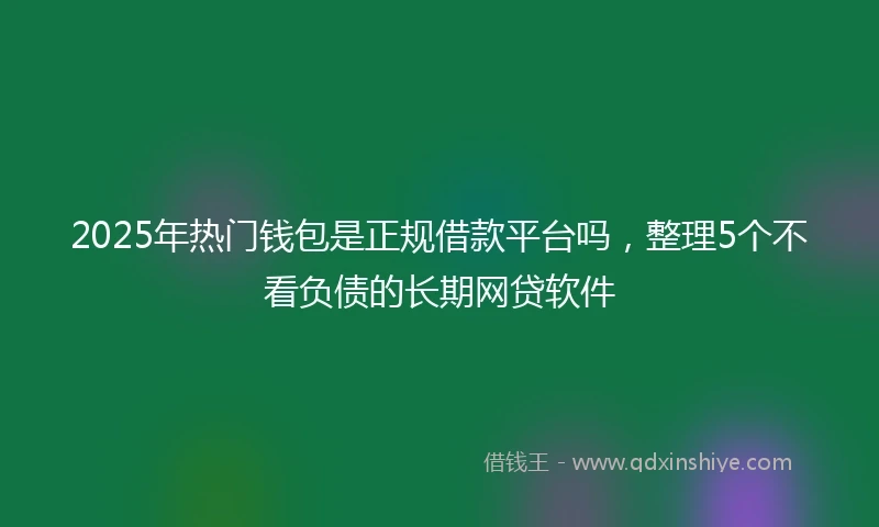 2025年热门钱包是正规借款平台吗，整理5个不看负债的长期网贷软件