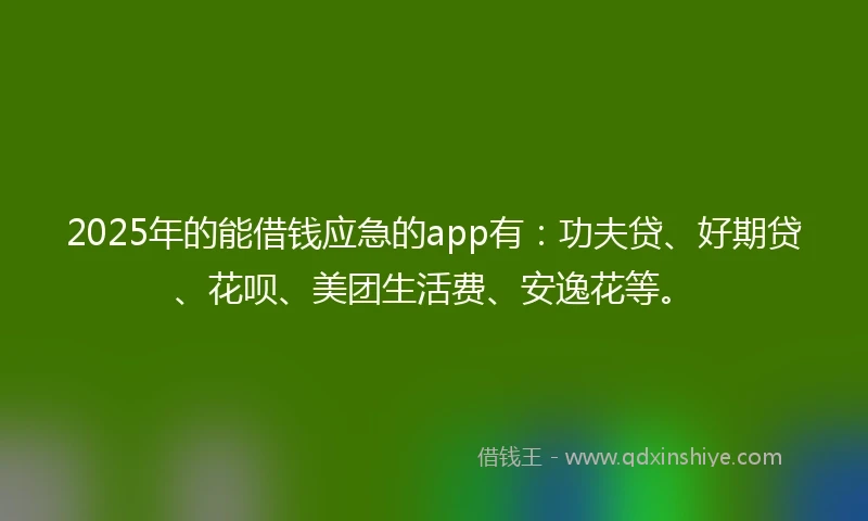 2025年的能借钱应急的app有：功夫贷、好期贷、花呗、美团生活费、安逸花等。