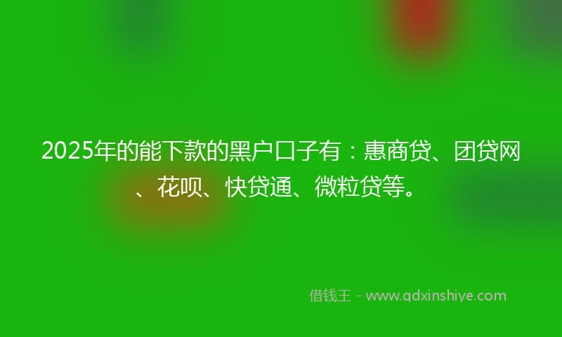 2025年的能下款的黑户口子有：惠商贷、团贷网、花呗、快贷通、微粒贷等。