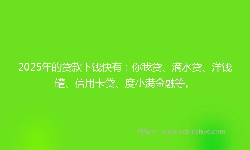 2025年的贷款下钱快有：你我贷、滴水贷、洋钱罐、信用卡贷、度小满金融等。