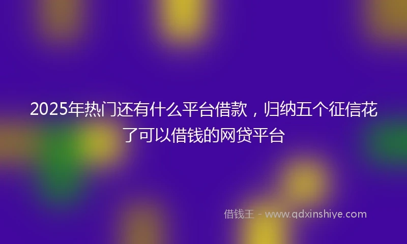 2025年热门还有什么平台借款，归纳五个征信花了可以借钱的网贷平台