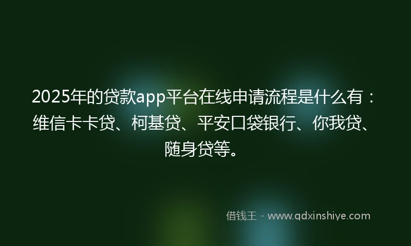 2025年的贷款app平台在线申请流程是什么有：维信卡卡贷、柯基贷、平安口袋银行、你我贷、随身贷等。