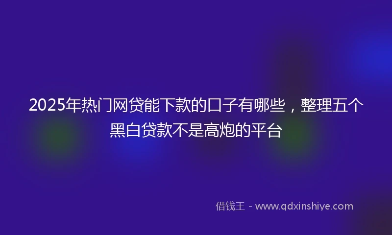 2025年热门网贷能下款的口子有哪些，整理五个黑白贷款不是高炮的平台