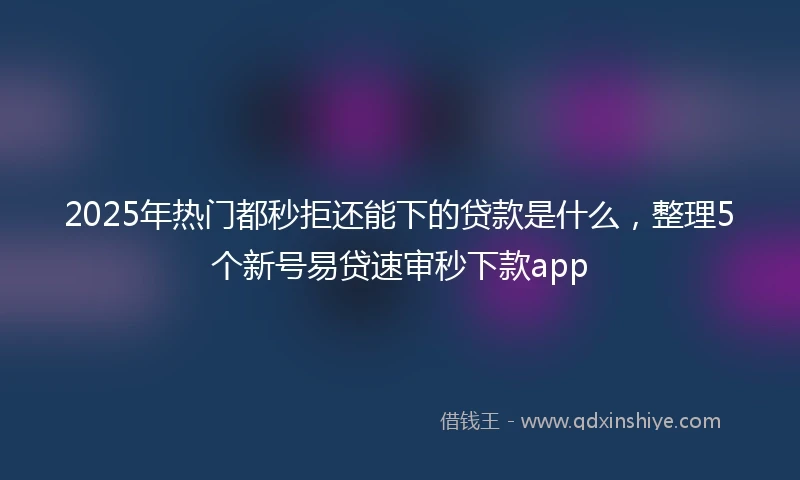 2025年热门都秒拒还能下的贷款是什么，整理5个新号易贷速审秒下款app